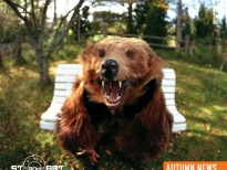 Autumn News (2009)